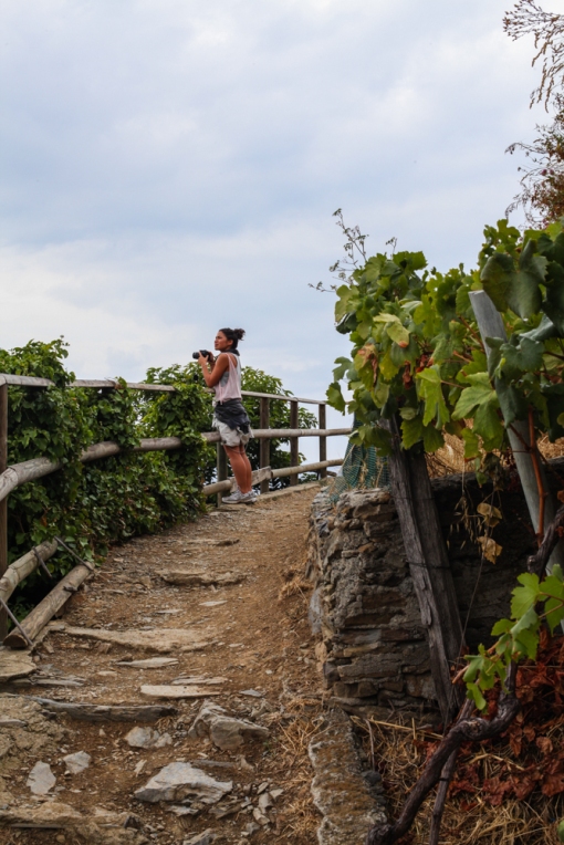 The trails take you through vineyards and olive trees.